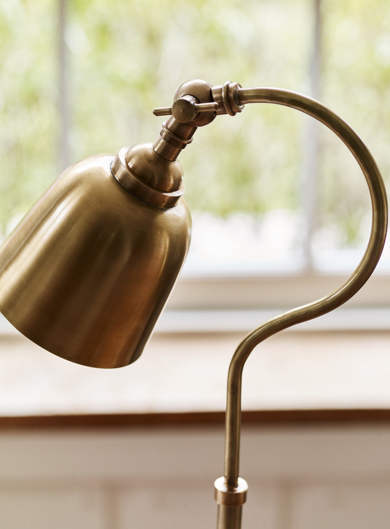 Brass store gooseneck lamp